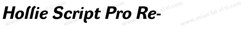 Hollie Script Pro Re字体转换